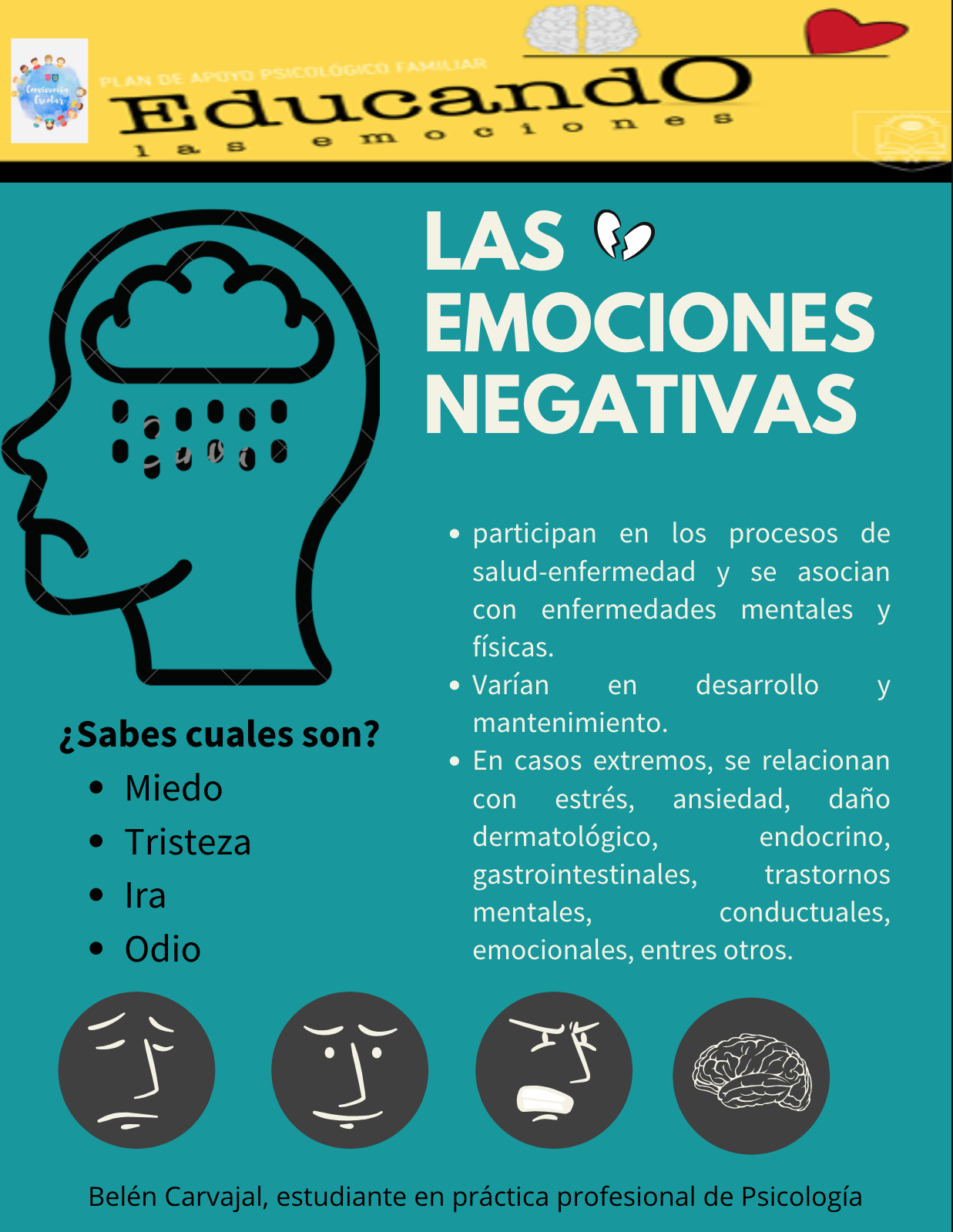 Educando Las Emociones Las Emociones Negativas Colegio Montessori Temuco 3356