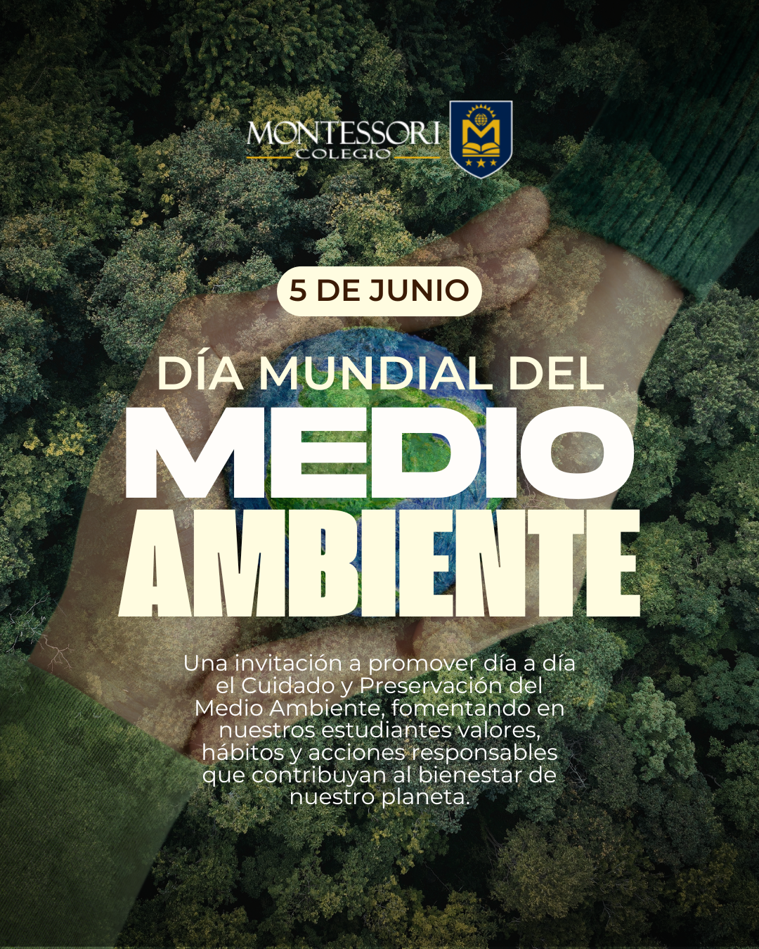 DIA DEL MEDIO AMBIENTE 2026